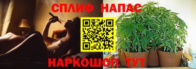 дживик Ливны