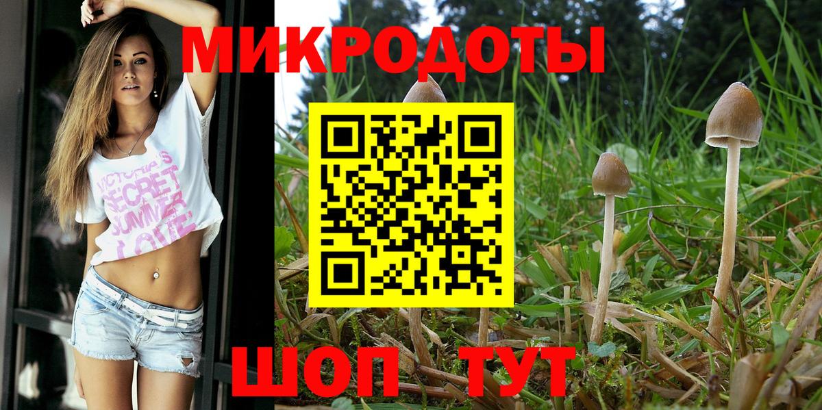Псилоцибиновые грибы MAGIC MUSHROOMS Долгопрудный