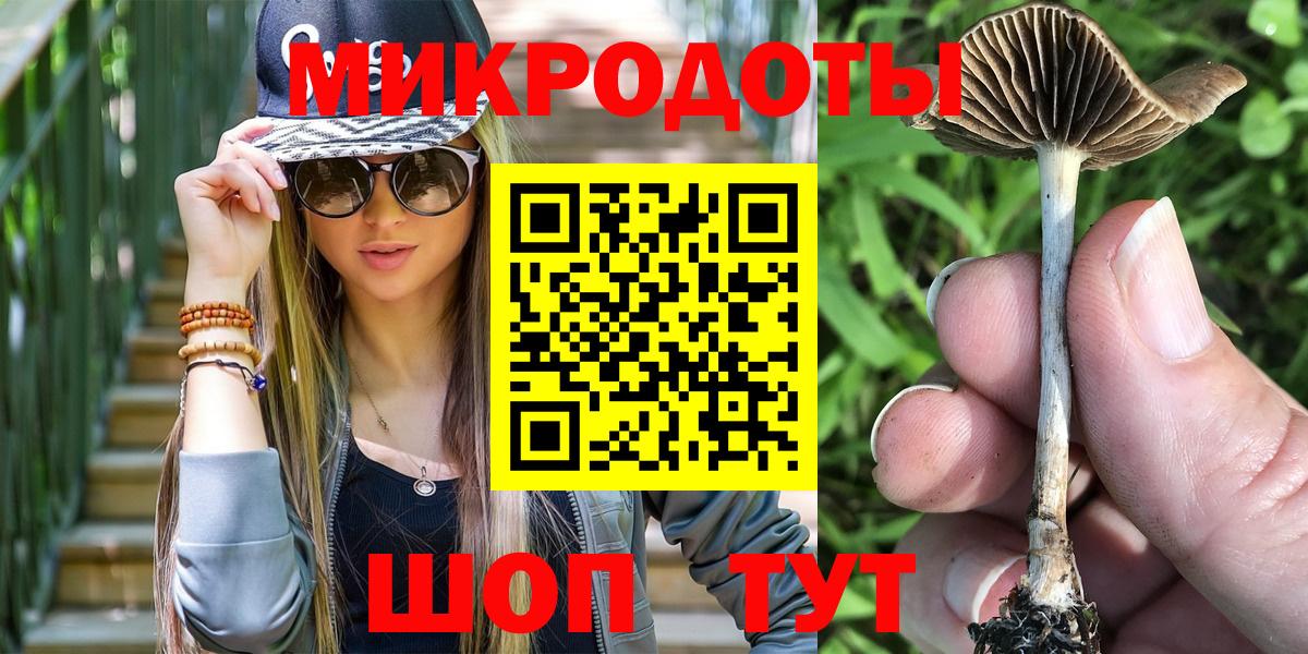 дарнет шоп  Вход с VPN  Долгопрудный  Псилоцибиновые грибы Psilocybine cubensis 